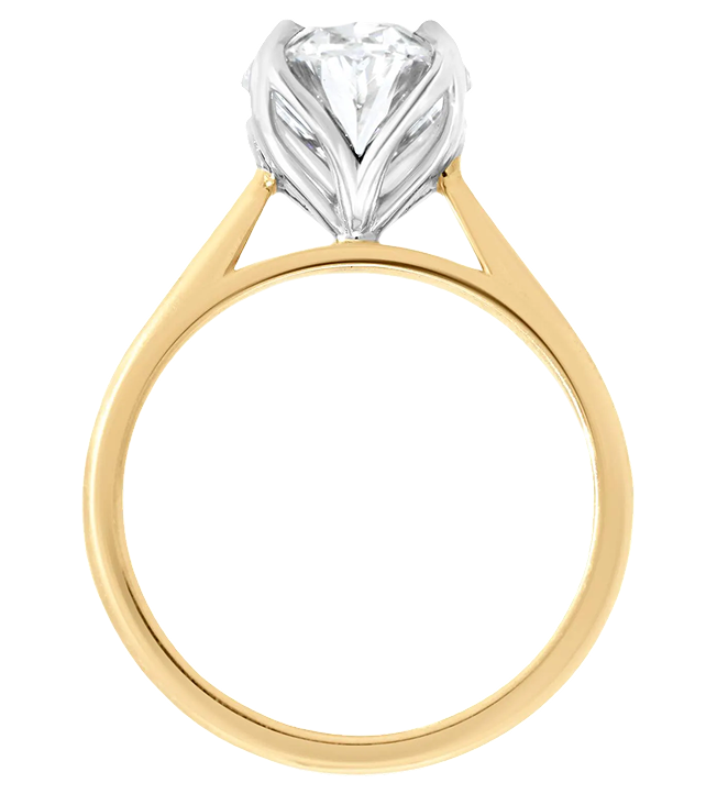 Ring Img