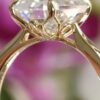 Daury's Engagement Ring