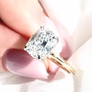 Ricardo's Engagement Ring_