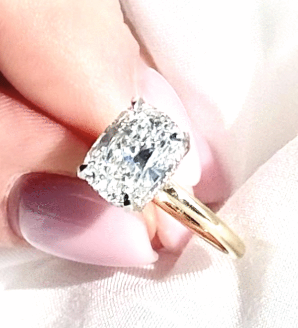 Ricardo's Engagement Ring_