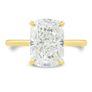 Ali T.'s Engagement Ring