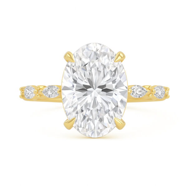 Lealle’s Engagement Ring