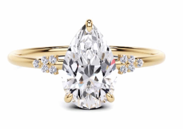 Rimi's Engagement Ring