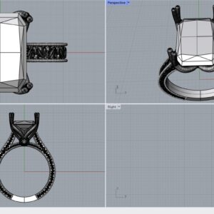 Ernesto's Engagement Ring_