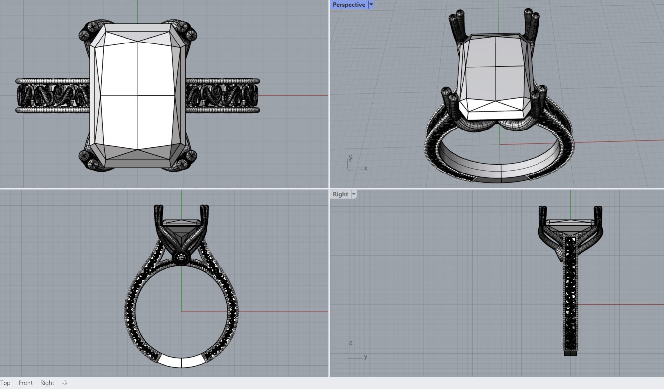 Ernesto's Engagement Ring_