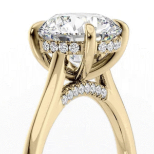 Giancarlo's Engagement Ring