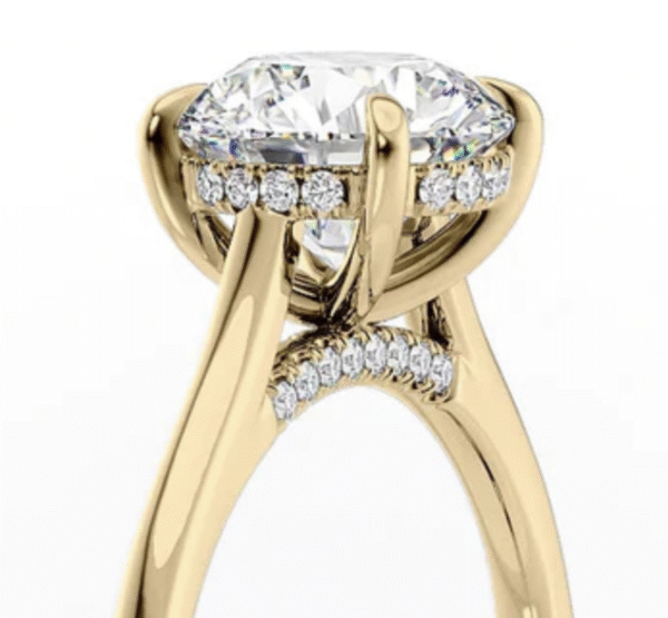 Giancarlo's Engagement Ring