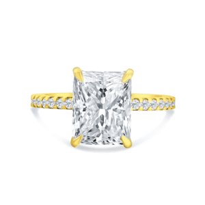 Dylan's Engagement Ring