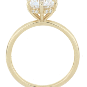 Papito's Engagement Ring