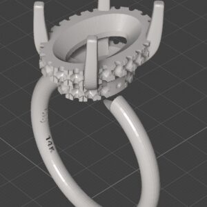 Sindy’s Engagement Ring