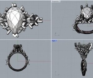 Kaylee’s Engagement Ring